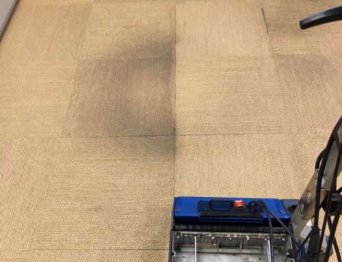 Hoe reinig je een Bolon vloer?